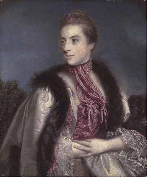 Sir Joshua Reynolds Elizabeth Drax, Countess of Berkeley France oil painting art
